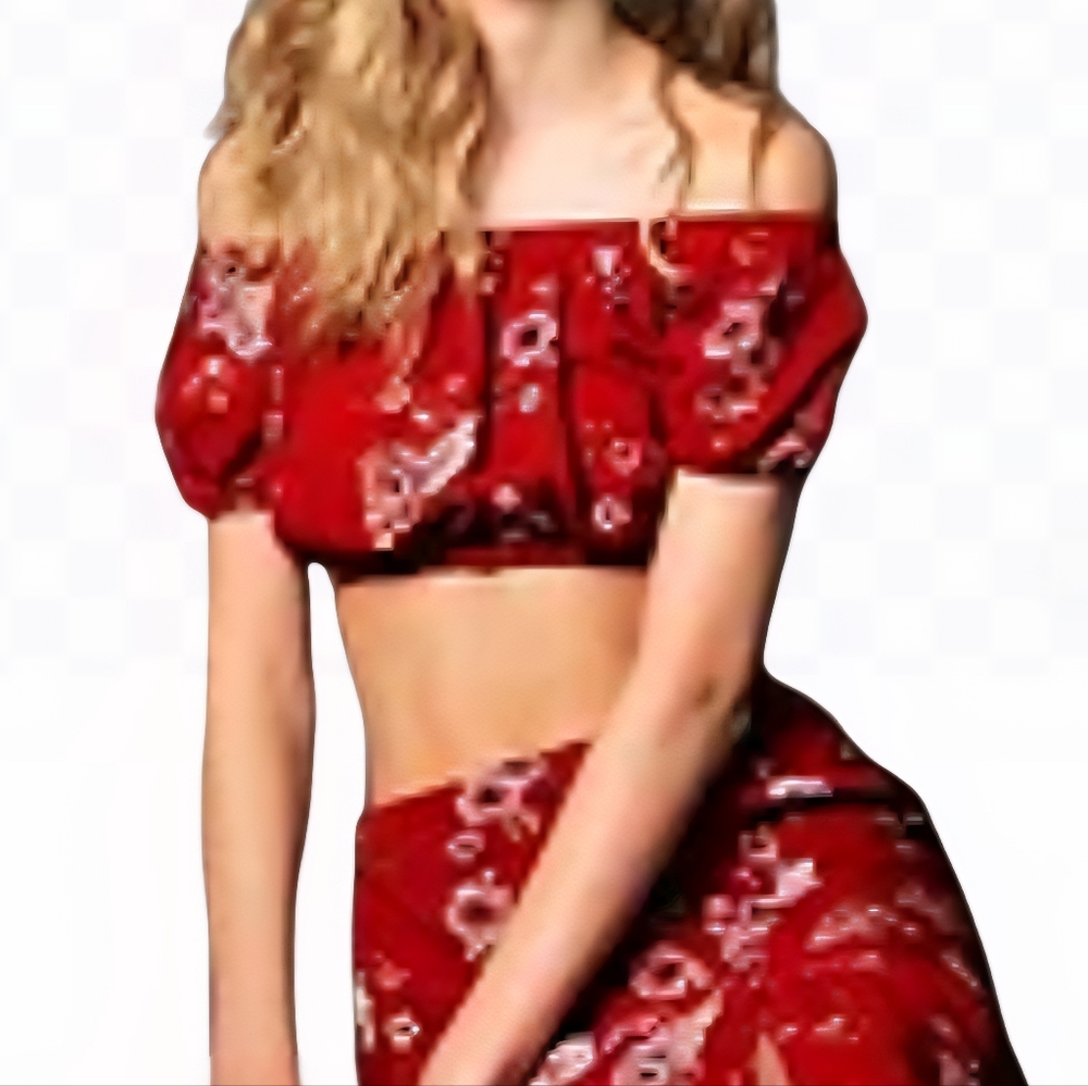 American Eagle Burgundy Maroon Floral crop top shirt Medium
